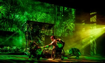 boy explores jungle scene